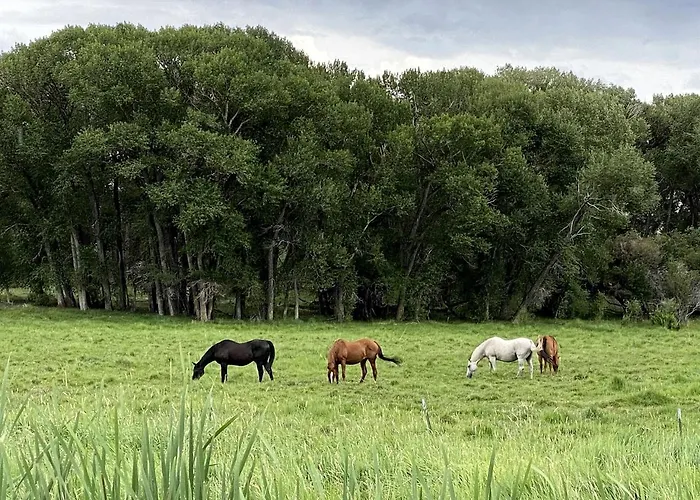 Tranquil Two Bedroom In Riverside, Wyoming Encampment